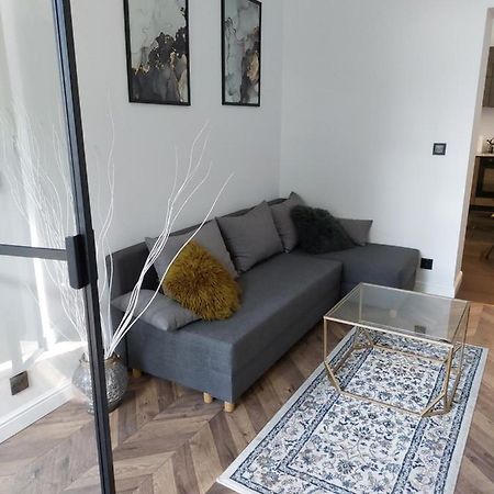 Lof Central Apartment Z Miejscem Parkingowym Torun Exterior foto